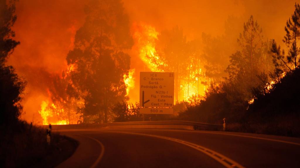 Verheerende Waldbrände in Portugal