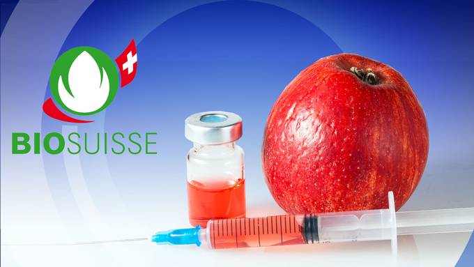 Sonntag, 7. April 2019 — Ganze Sendung