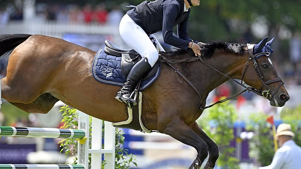 The indoor season is being launched in show jumping