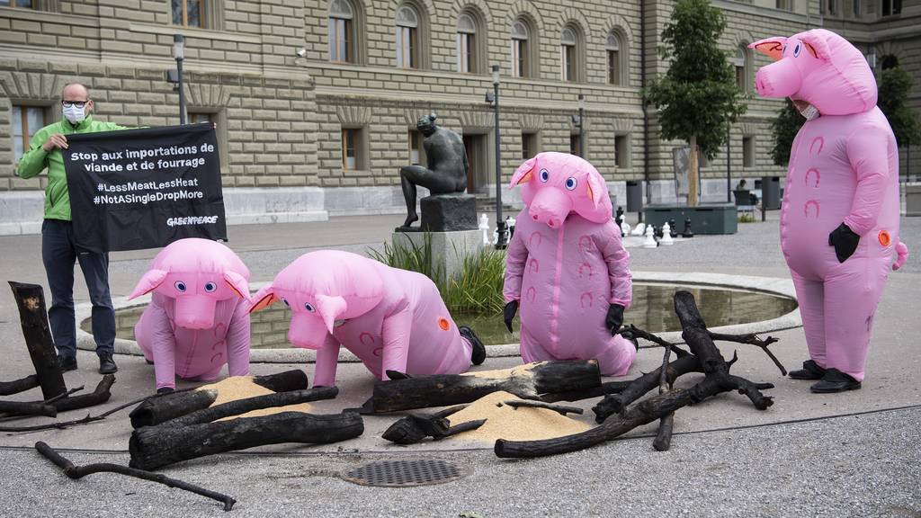 Greenpeace-Aktivisten haben sich als Schweine verkleidet. Sie reichten heute eine Petition gegen den Fleischkonsum ein.