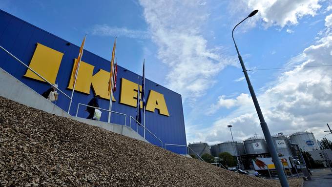 Bruno Manser Fonds erstattet Anzeige gegen Ikea