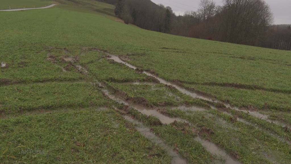 Nicht geländetauglich: Ein 27-Jähriger wollte seinen SUV auf einem Feld testen