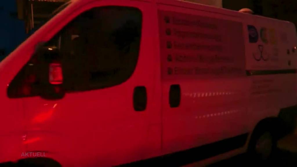 Beim Dog Care Service lernen die Hunde ohne «Guddeli»