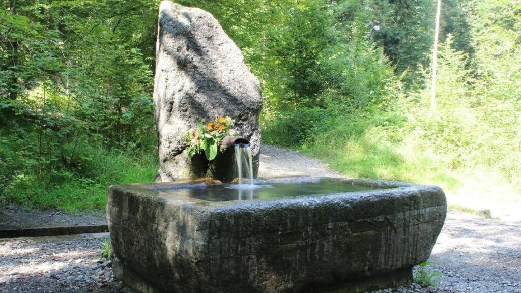Glasbrunnen im Bremgartenwald vorübergehend abgestellt