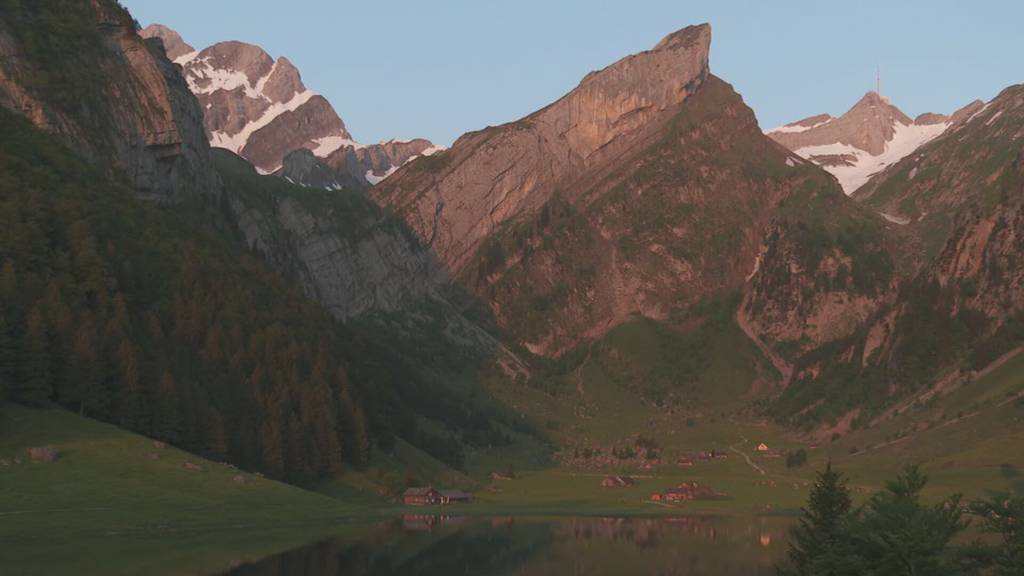 Frischer Alpkäse: Zu Besuch bei der Seealpkäserei