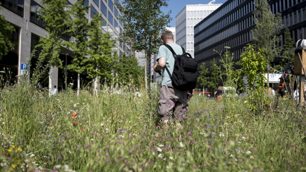 Warum die Zürcher Europaallee am Wochenende blüht statt glüht