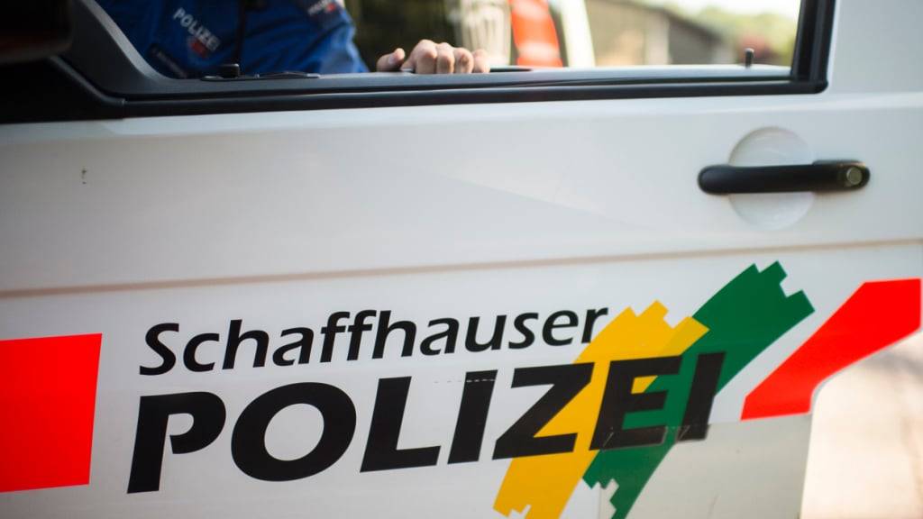 Unbekannte verunfallten bei Hallau SH mit einem gestohlenem Auto - und flüchteten. (Archivbild)
