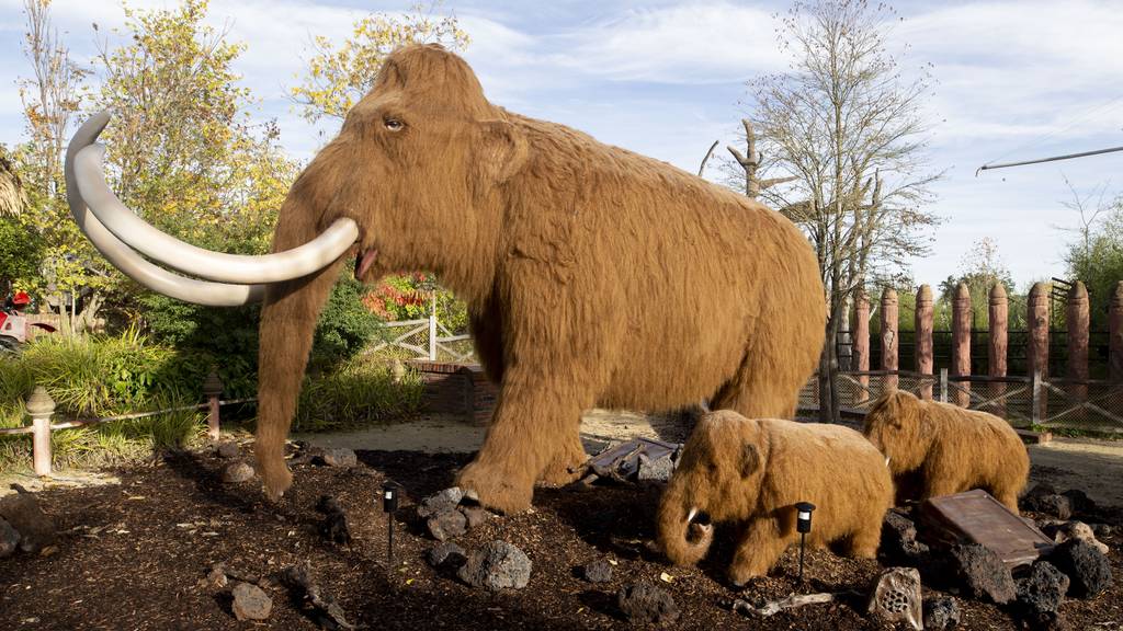 Gewinne eine exklusive Führung im Zoo Zürich mit Apéro!