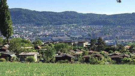 Grillplatz Hönggerberg