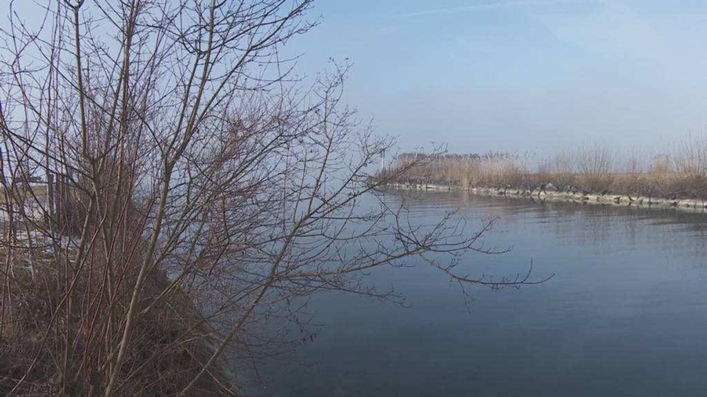 Hinweise auf Biberfamilien im Kanton Schwyz