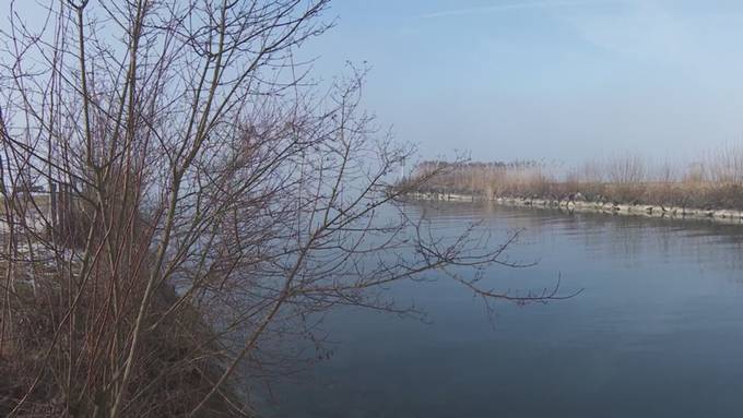 Hinweise auf Biberfamilien im Kanton Schwyz