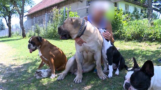 Franziska Roth redet über den Fall Hundeattacken in Leutwil 