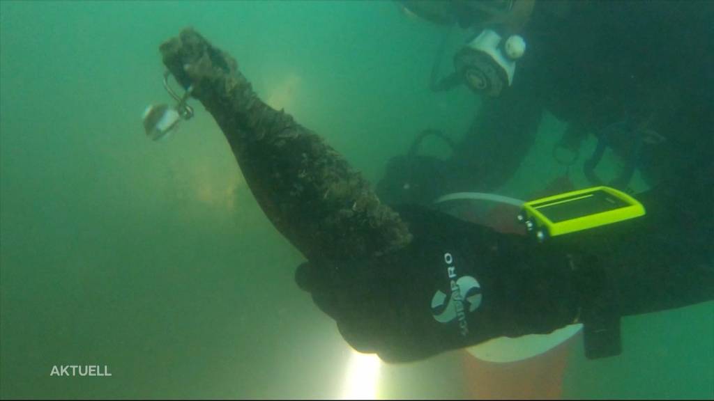 Abfalltaucher fischen auch Kuriositäten aus Hallwilersee