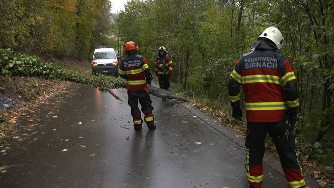 Wegen Sturmtief «Domingos»: Umgestürzter Baum versperrt Strasse