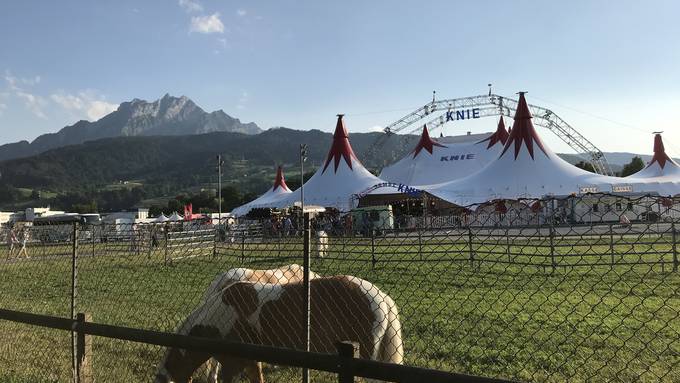 Circus Knie mit Jubiläumsshow in Luzern