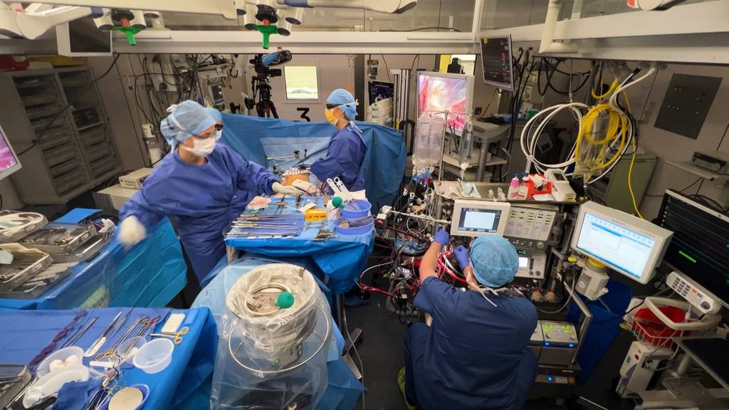 Minimalinvasive Herzklappenrekonstruktion