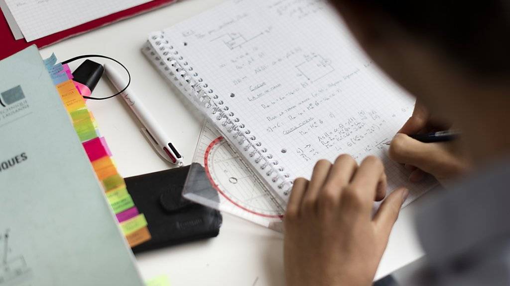 Ein zwölfjähriger Musterschüler aus Indonesien darf an kanadischer Universität Physik studieren. (Symbolbild)