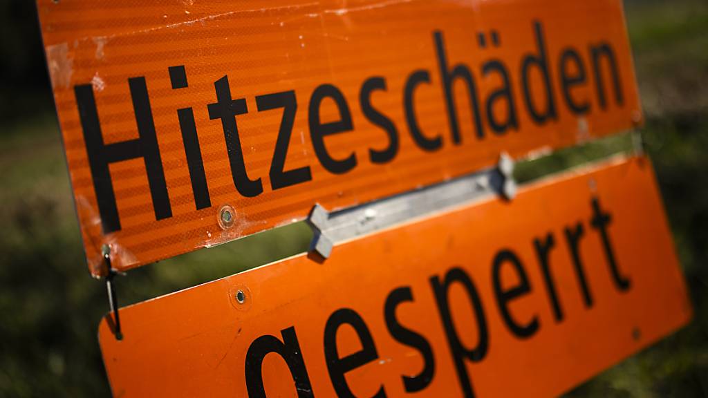2023 geht global als das heisseste Jahr seit Beginn der Aufzeichnungen in die Geschichte ein. (Symbolbild)