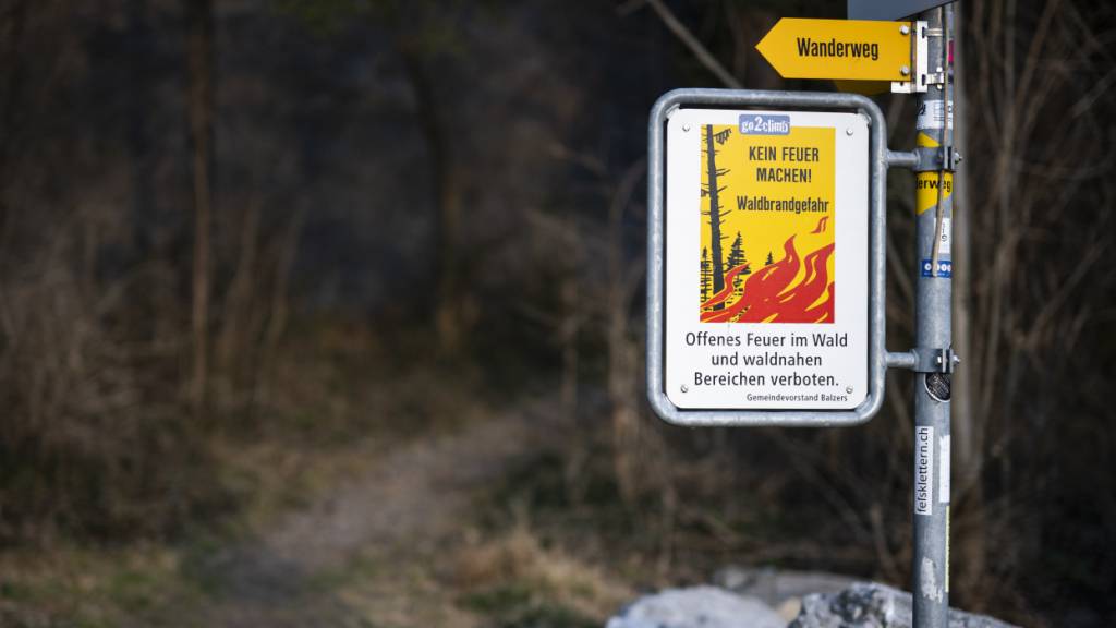 Der Kanton Thurgau verbietet das Entfachen von Feuer im Wald oder in der Nähe von Wäldern. (Archivbild)
