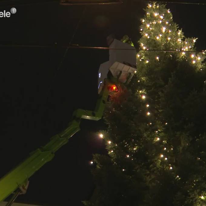Der grösste Luzerner Weihnachtsbaum wird geschmückt