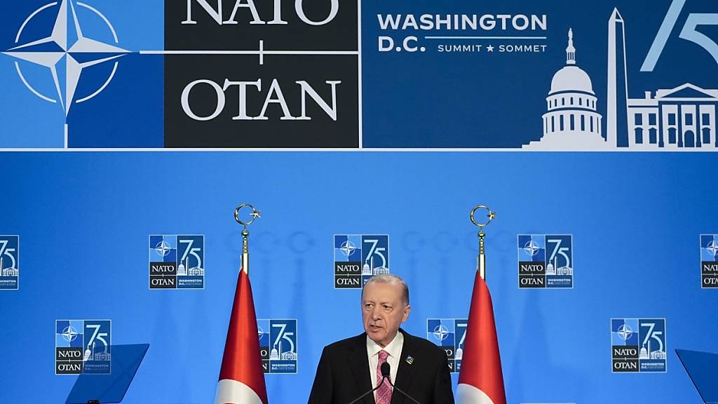 ARCHIV - Der türkische Präsident Recep Tayyip Erdogan spricht während einer Pressekonferenz während des Nato-Gipfels in Washington. Foto: Stephanie Scarbrough/AP/dpa