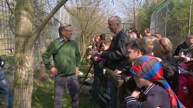 Demo für Raubtierpark