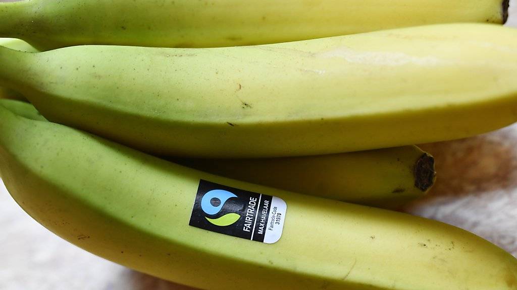 Schweizer kaufen weiterhin viele Fair-Trade-Produkte: Der Umsatz steigt auf einen neuen Rekord. Im Bild Bananen mit dem Gütesiegel von Max Havelaar. (Archiv)