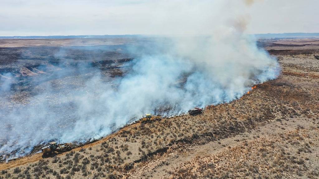 Waldbrände in Texas weiten sich aus – mindestens zwei Tote