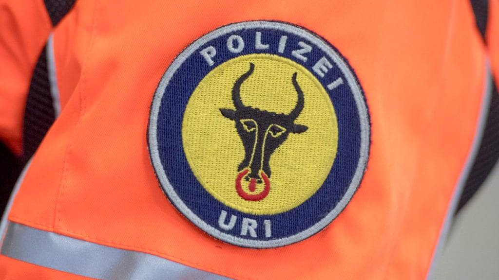 Bei einem Sturz aus dem Fenster verletzte sich eine Frau in Schattdorf am Sonntagabend schwer. (Symbolbild)