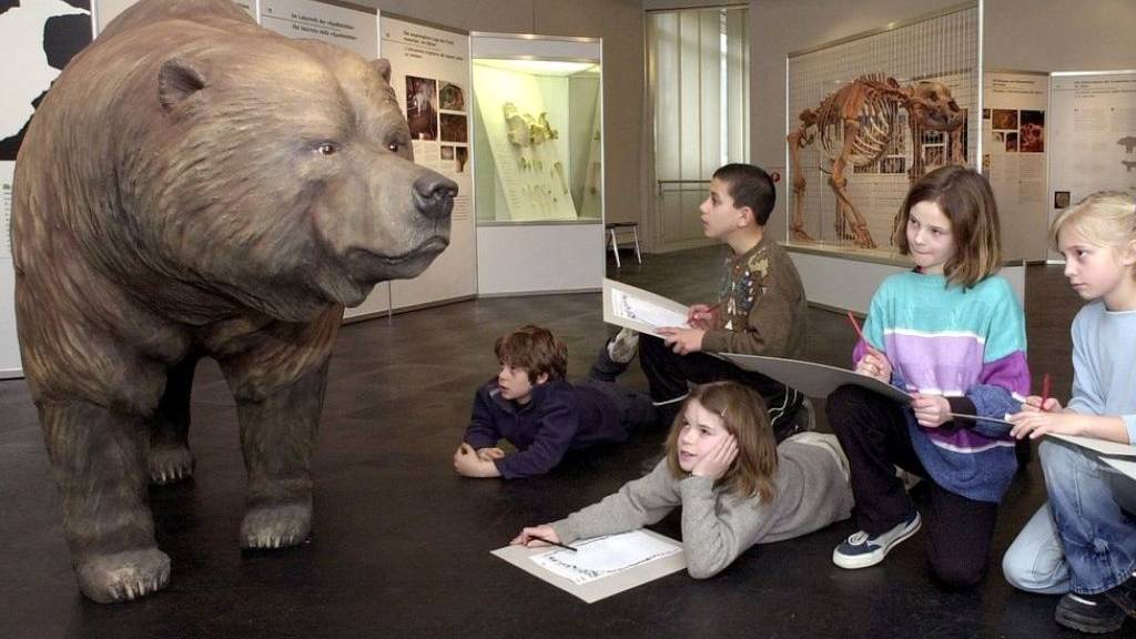 Kinder zeichnen im Alpinen Museum in Bern einen Höhlenbären ab. Trotz seiner gewaltigen Gestalt kam das Tier mit pflanzlichem Proteinen aus. Auch die rumänische Unterart, die man verdächtigte, Fleisch und Fisch auf dem Speiseplan gehabt zu haben, wie Forscher jetzt bewiesen. (Arvchivbild)