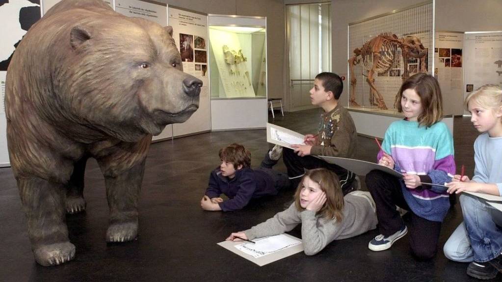 Kinder zeichnen im Alpinen Museum in Bern einen Höhlenbären ab. Trotz seiner gewaltigen Gestalt kam das Tier mit pflanzlichem Proteinen aus. Auch die rumänische Unterart, die man verdächtigte, Fleisch und Fisch auf dem Speiseplan gehabt zu haben, wie Forscher jetzt bewiesen. (Arvchivbild)