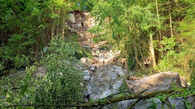 500 bis 1000 Kubikmeter Fels stürzen in Glarner Wald herab
