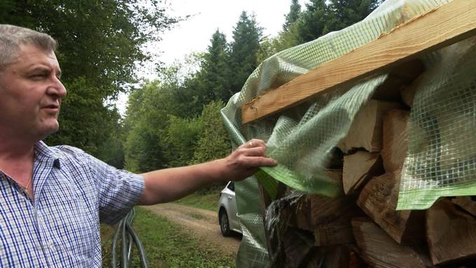 Dreister Holzdiebstahl mitten im Dorf