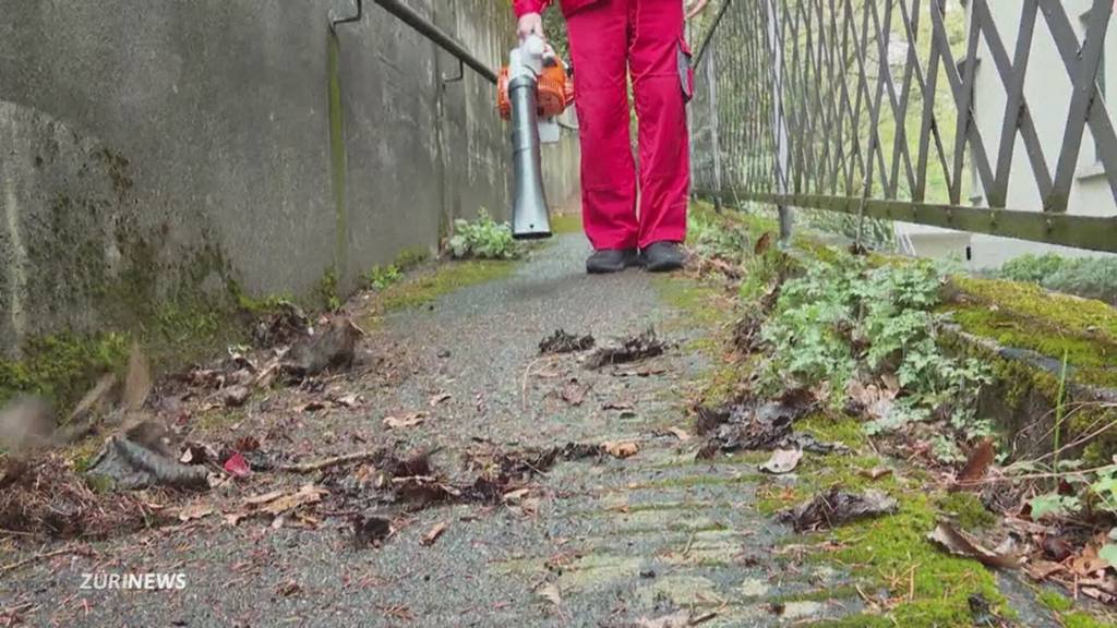Zürcher Stimmvolk macht Benzin-Laubbläsern den Garaus