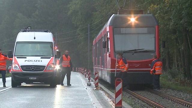 Wildhüter wird von Zug erfasst