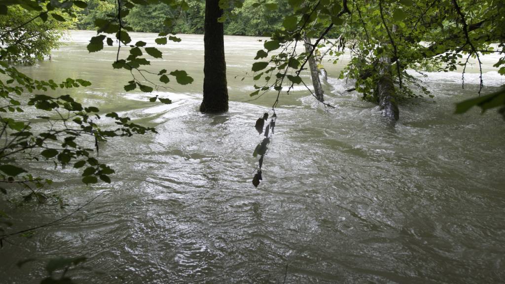 Schaffhauser Gemeinden erhalten künftig höhere Kantonsbeiträge für Schutzmassnahmen gegen Hochwasser. (Symbolbild)