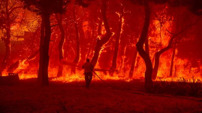 Waldbrände nehmen in Europa historische Ausmasse an