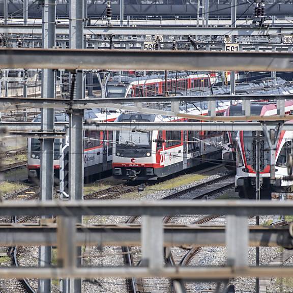 SBB informiert über Durchgangsbahnhof und Abstellanlage in Dierikon