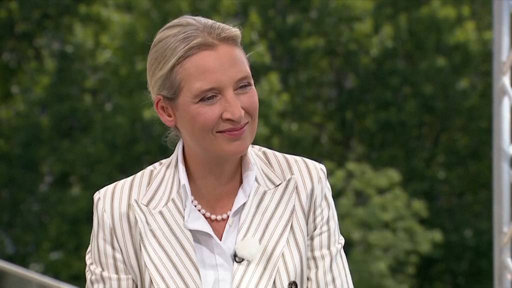 Trillerpfeifen und «Scheiss AfD»-Gesang: Protestaktion stört ARD-Interview mit Alice Weidel 
