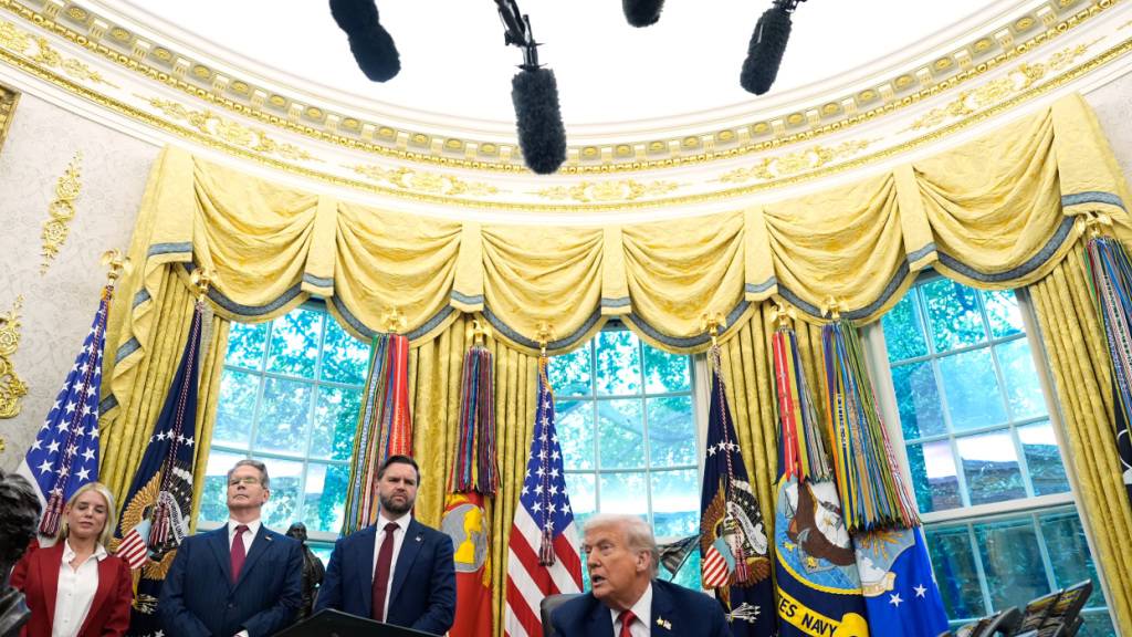 US-Präsident Donald Trump spricht im Oval Office im Weißen Haus. Foto: Alex Brandon/AP/dpa