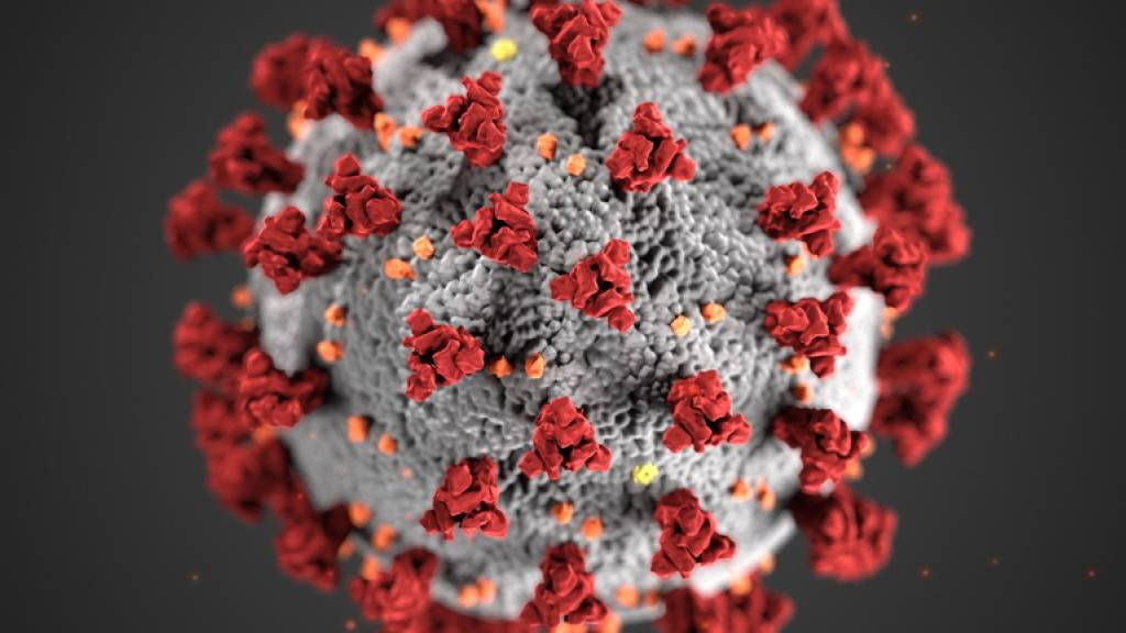Das Bundesamt für Gesundheit meldete am Freitag 405 neue Coronavirus-Infizierte innerhalb von 24 Stunden.