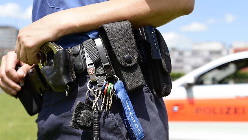 Anwohner und Polizei stellen Einbrecher mit Beute in Niederhasli ZH