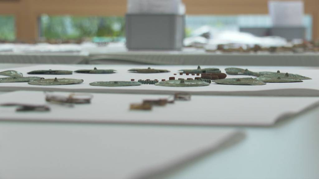 Pensionierter Hochschulprofessor findet uralten Schmuck im Thurgau