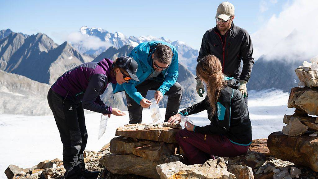 Archäologen graben in 2800 Metern Höhe nach Spuren der ersten Strahler