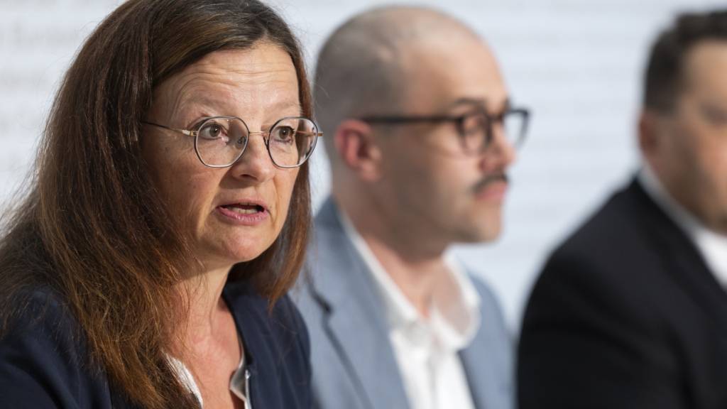 Laut Nationalrätin Priska Wismer-Felder (Mitte/LU), Präsidentin der Geschäftsprüfungskommission, wurde mit den USA nie ein pauschaler Fixpreis für die F-35-Kampfjets vereinbart.