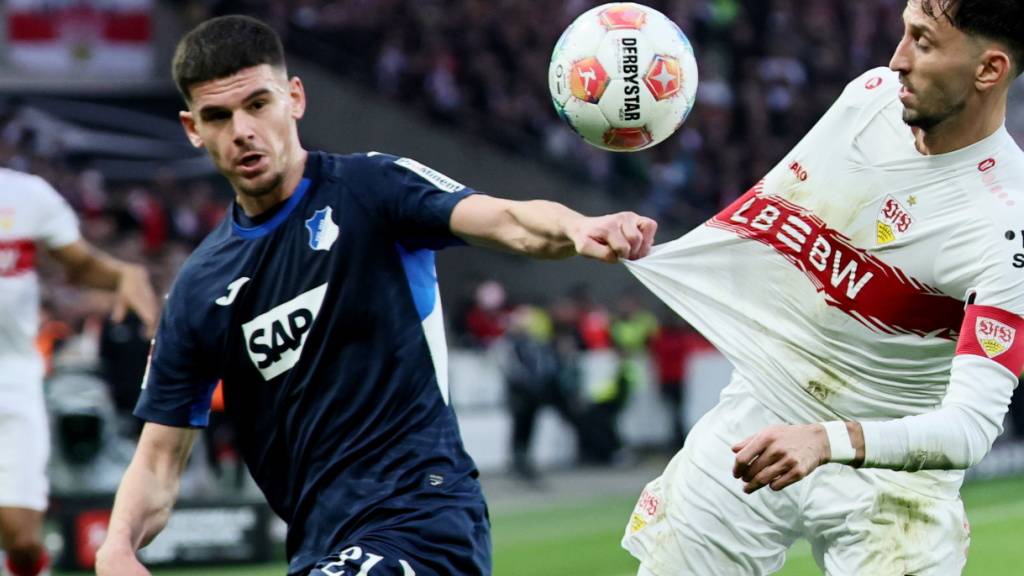 Für Albian Hajdari und Hoffenheim läuft es in diesem Jahr bisher sehr gut (Archivbild)