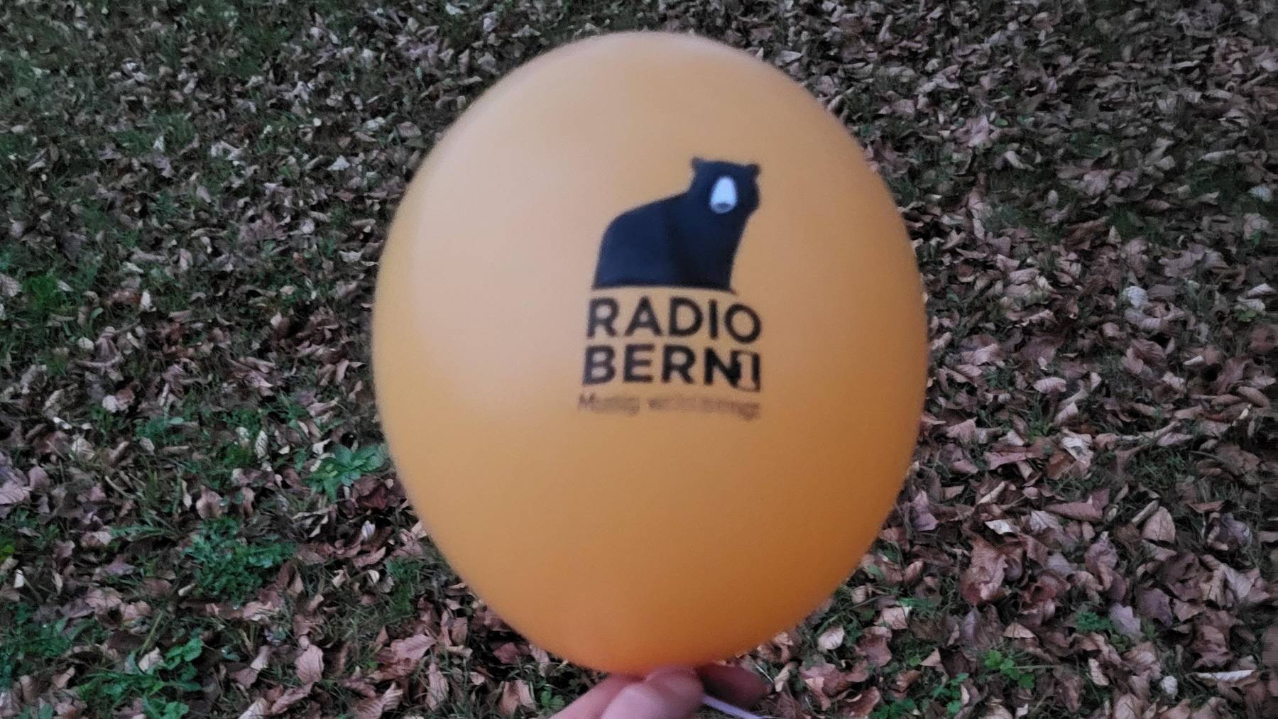 Ein deutscher Spaziergänger fand den Ballon und meldete sich bei uns.