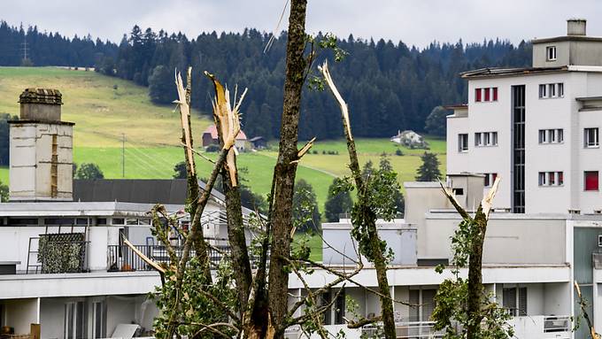 Winterthur spendet Partnerstadt La Chaux-de-Fonds 100 Bäume
