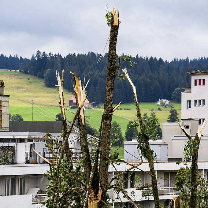 Winterthur spendet Partnerstadt La Chaux-de-Fonds 100 Bäume