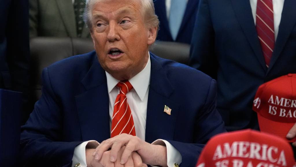 US-Präsident Donald Trump spricht im Oval Office des Weißen Hauses. Foto: Alex Brandon/AP/dpa